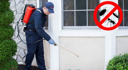 Karkamış Kene İlaçlama böcek ilaçlama ve haşere kontrolü — ilaclama-tr.com